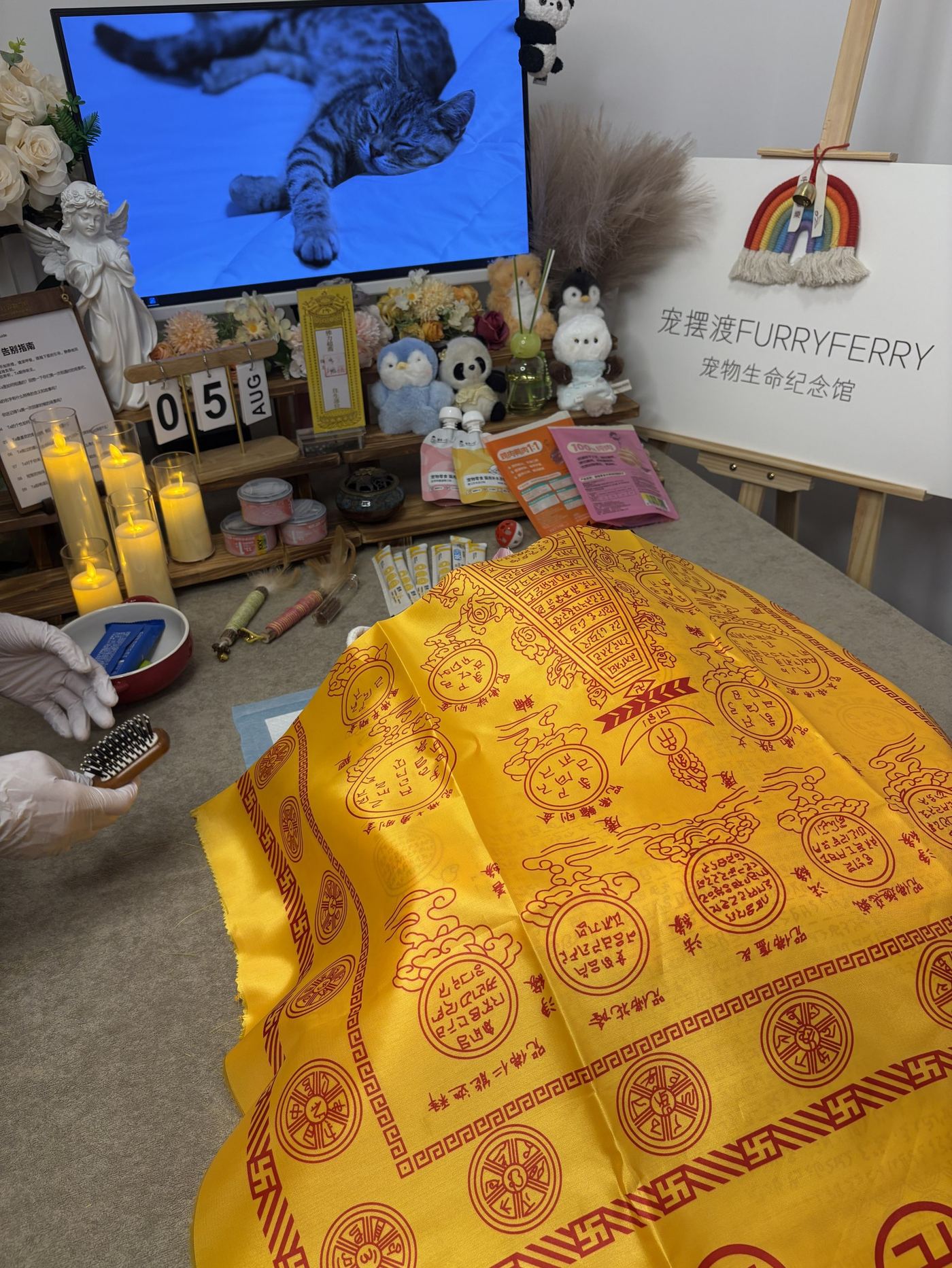 绿色一点的告别