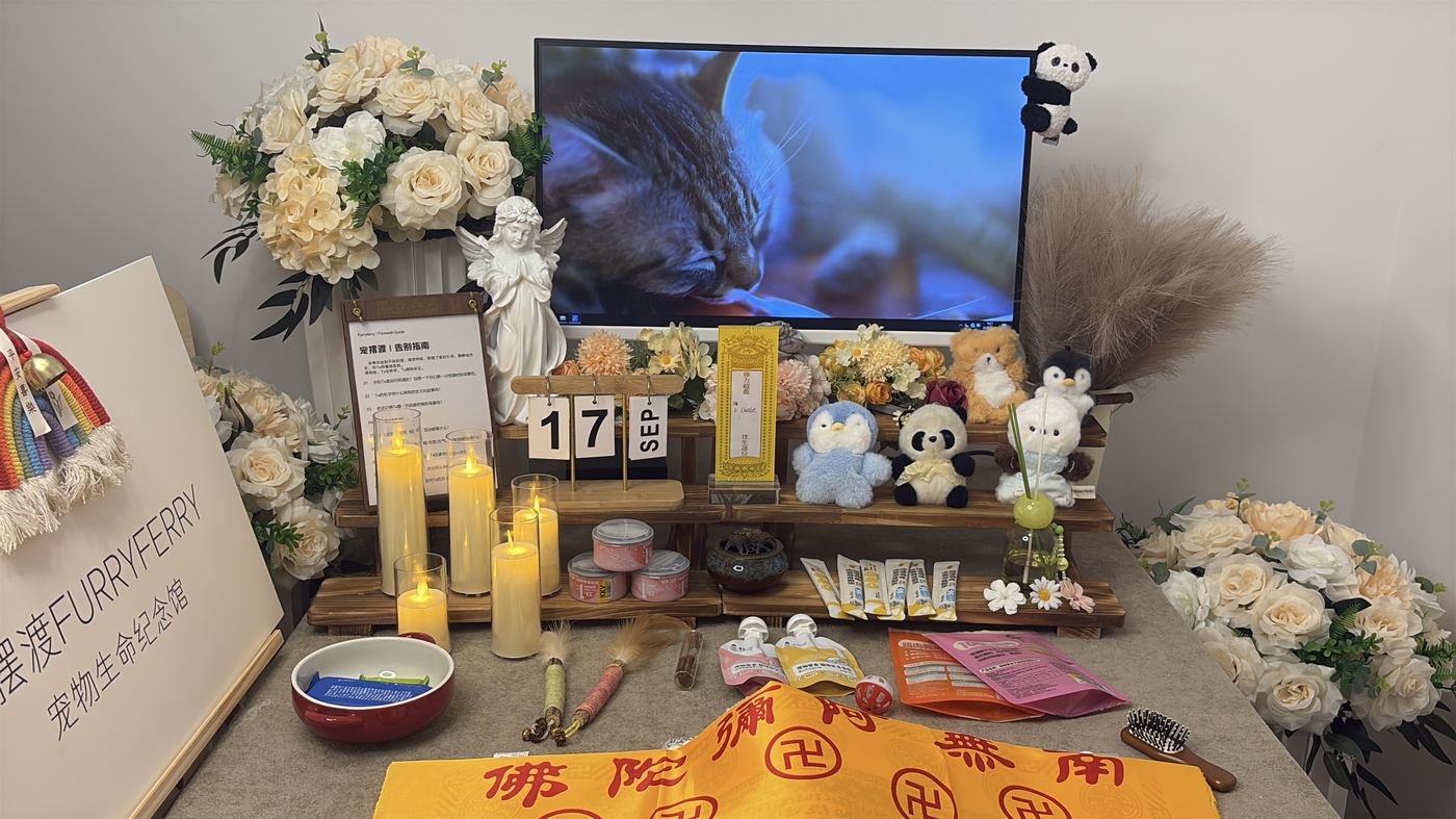 如何挑选靠谱的宠物殡葬机构？北海选择指南