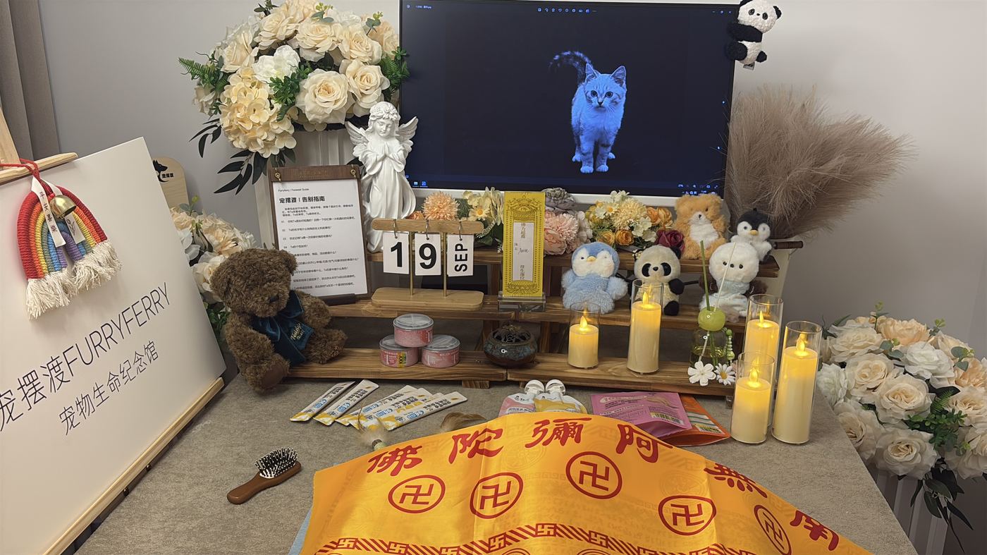 家属可以做的具体选择