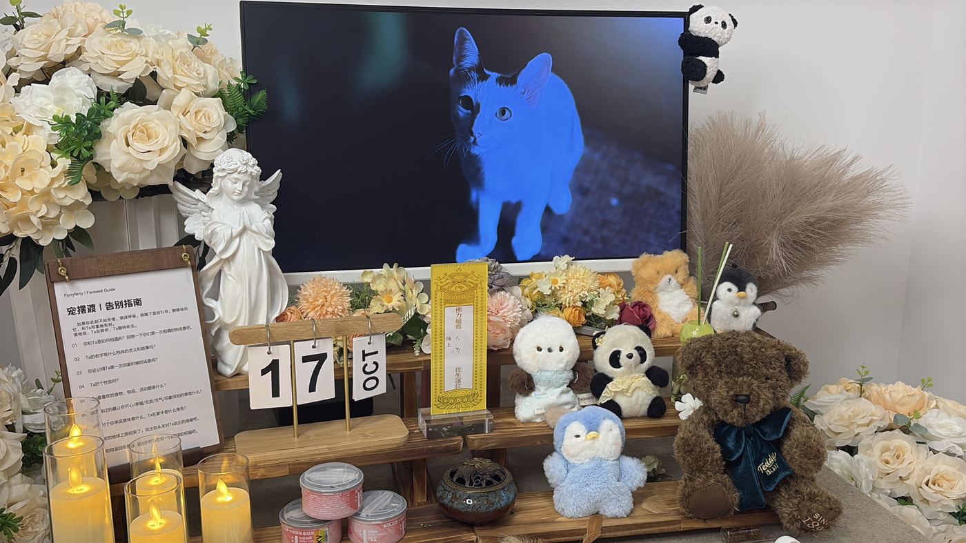 北海宠物告别厅布置：如何给银滩家属一个体面的告别